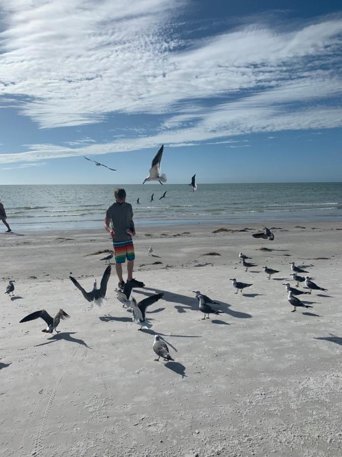 Sea Club Condo #37 Clearwater Beach Zewnętrze zdjęcie